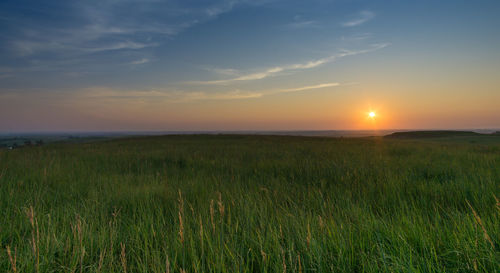 Scenic view of grassy field against sky at sunset