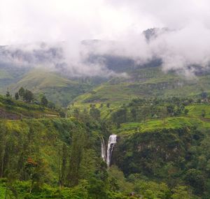 Scenic view of forest against sky