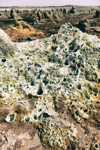 High angle view of water flowing through rocks