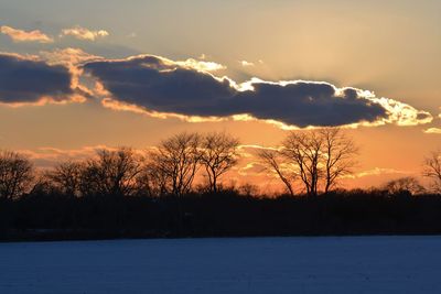Silhouette trees on field against sky during sunset