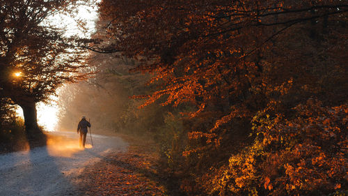 Rear view of woman walking by trees during autumn