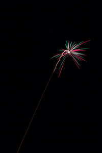 Low angle view of firework display at night