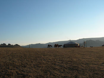 Scenic view of field against clear sky