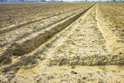 Tire tracks on field