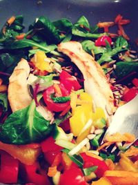 Close-up of food