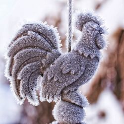 Close-up of frozen plant