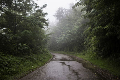 Road amidst trees in forest during rainy season