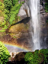 View of waterfall in forest