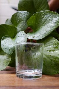 Close-up of water in glass on table