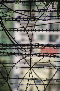 Low angle view of barbed wire fence