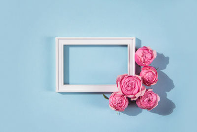 White text frame  pink peonies, roses on a blue background, valentine's day  mother's day, wedding