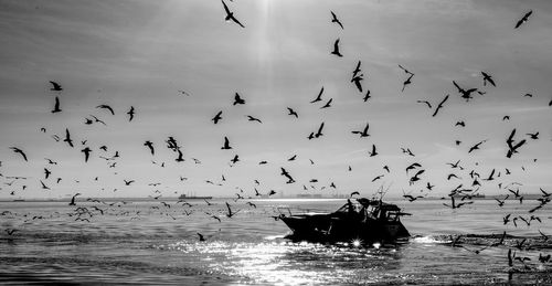 Flock of birds flying over sea against sky