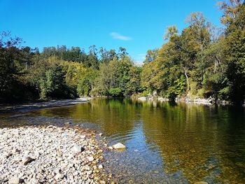 Scenic view of lake in forest against sky