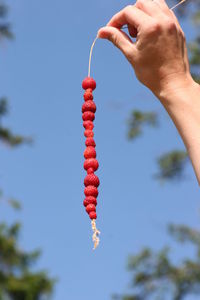 Cropped image of person holding berries against clear sky