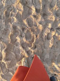 Low section of person on beach