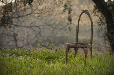 Empty seats in park