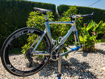 Bicycle parked by plants on field