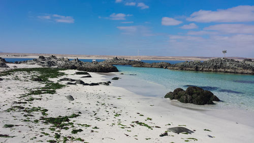 Scenic view of beach against sky