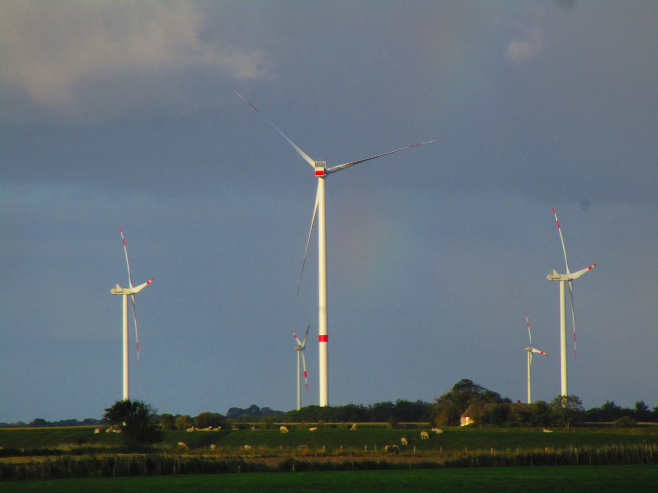 WIND TURBINES IN FIELD AGAINST SKY