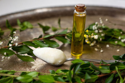 Close-up of olive oil and spoonful of coconut oil