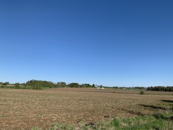 Scenic view of field against clear blue sky