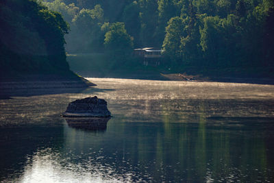 Scenic view of lake by trees in forest