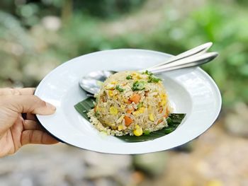 Close-up of hand holding food in plate