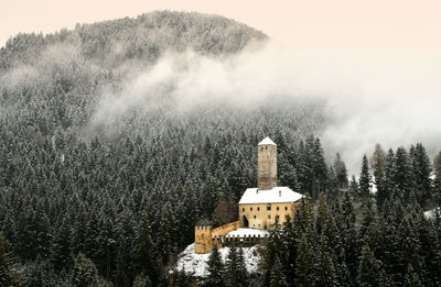 Trees and buildings against sky during winter