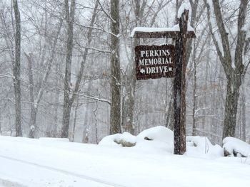 Text on snow covered trees in winter