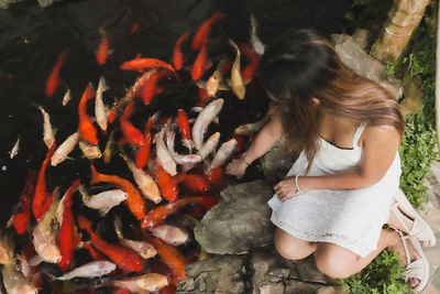 High angle view of woman with fish in water