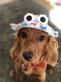 Close-up portrait of dog wearing hat