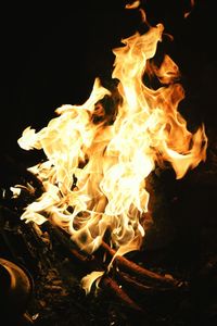 Close-up of bonfire against black background
