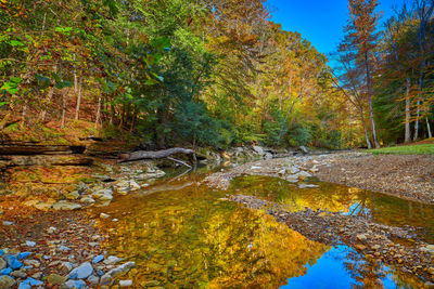 Reflection of trees in lake during autumn