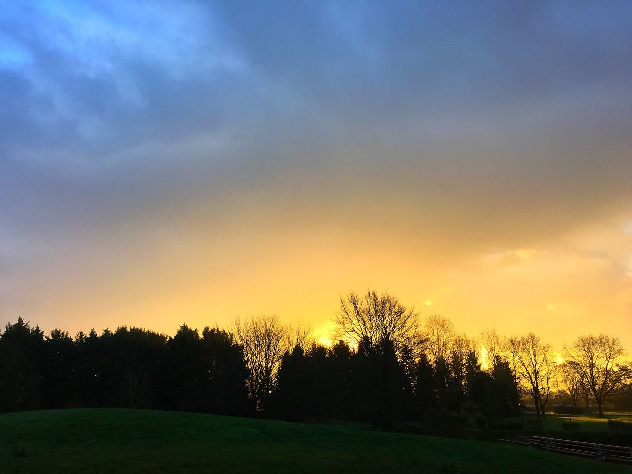 sunset, tree, tranquil scene, silhouette, tranquility, scenics, sky, beauty in nature, landscape, nature, field, idyllic, orange color, growth, cloud - sky, non-urban scene, outdoors, cloud, no people, dramatic sky