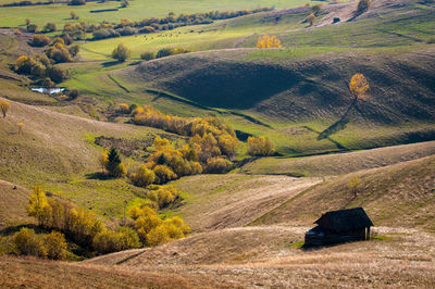 Scenic view of rural landscape