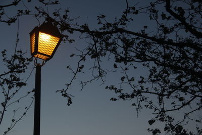 Low angle view of illuminated street light