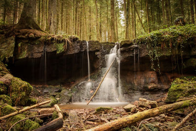 Scenic view of waterfall in forest