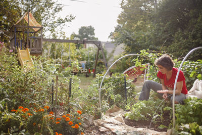 A woman plants seeds in a sunlit backyard urban garden with playset
