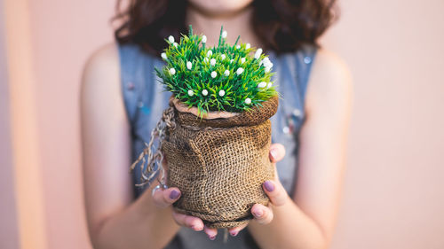 Close-up of woman holding potted plant at home