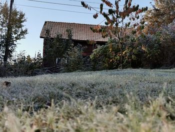 Old house and trees on field against sky