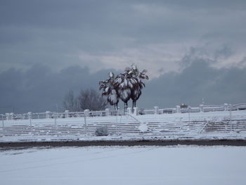 Scenic view of field against sky during winter