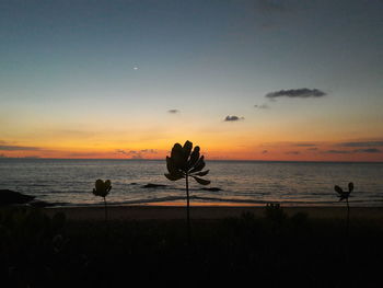 Silhouette beach against sky during sunset