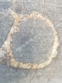 Full frame shot of paving stone