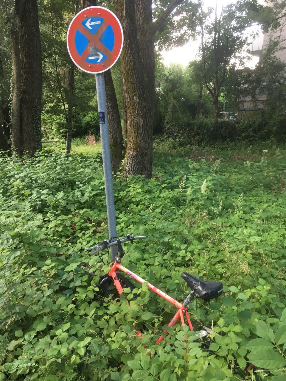 ROAD SIGN ON FIELD