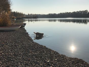 Scenic view of lake against clear sky