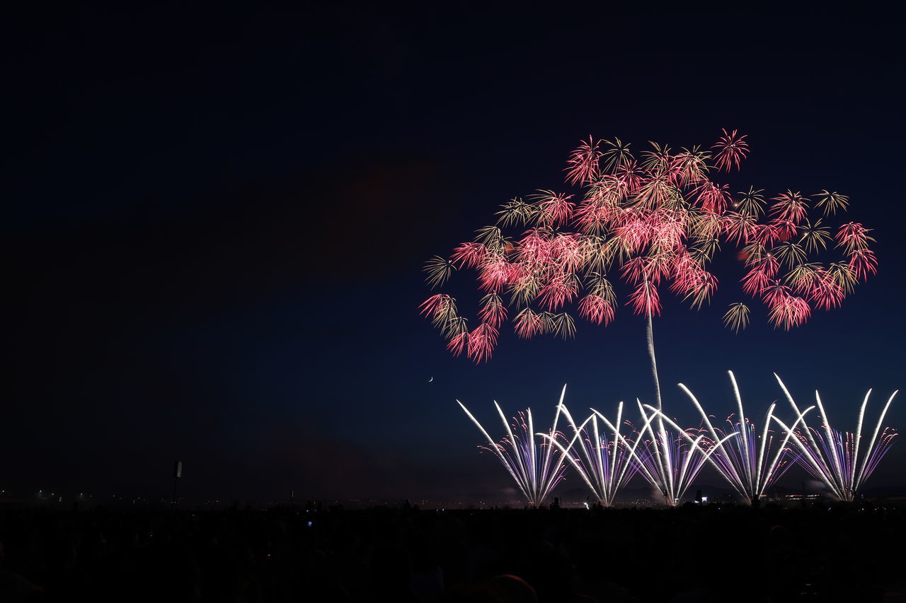 FIREWORK DISPLAY AT NIGHT SKY