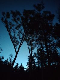 Low angle view of silhouette trees against sky at night