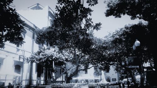 Low angle view of trees and buildings against sky