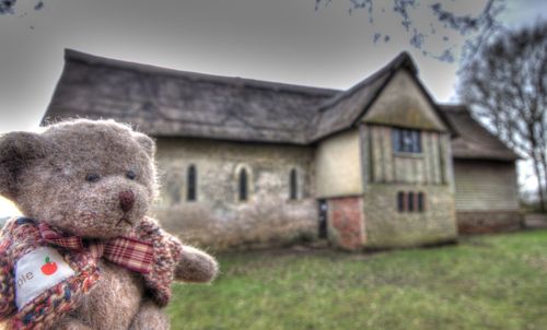 Stuffed toy on field by house against sky