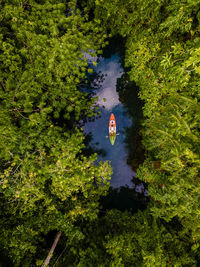 High angle view of river in forest